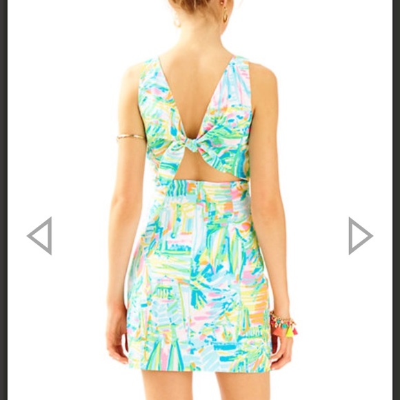 lilly pulitzer courtney shift dress